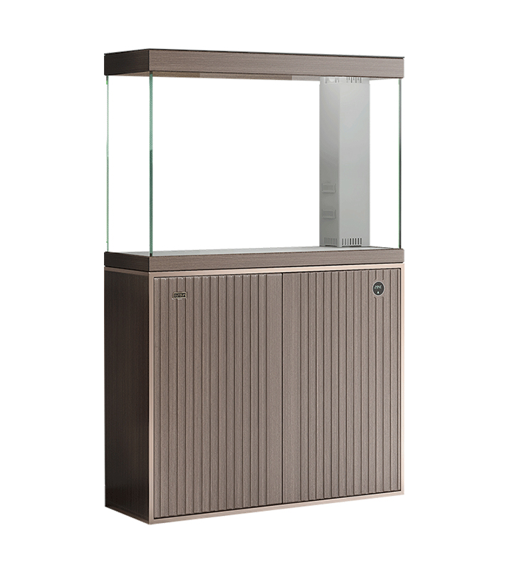 Como a iluminação afeta os tanques de peixes de aquário e a saúde dos peixes?