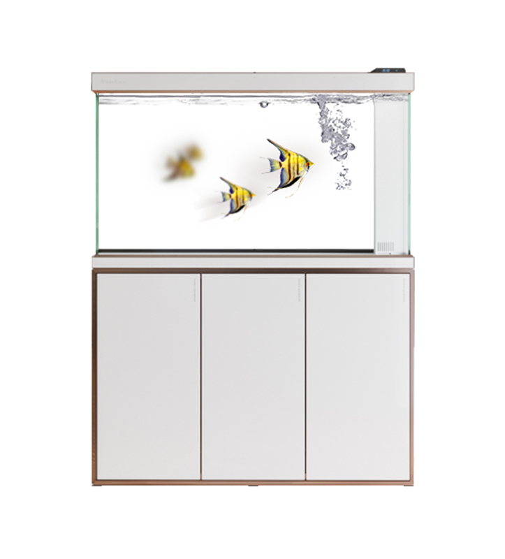 Com que frequência os tanques de peixes de aquário devem ser limpos?