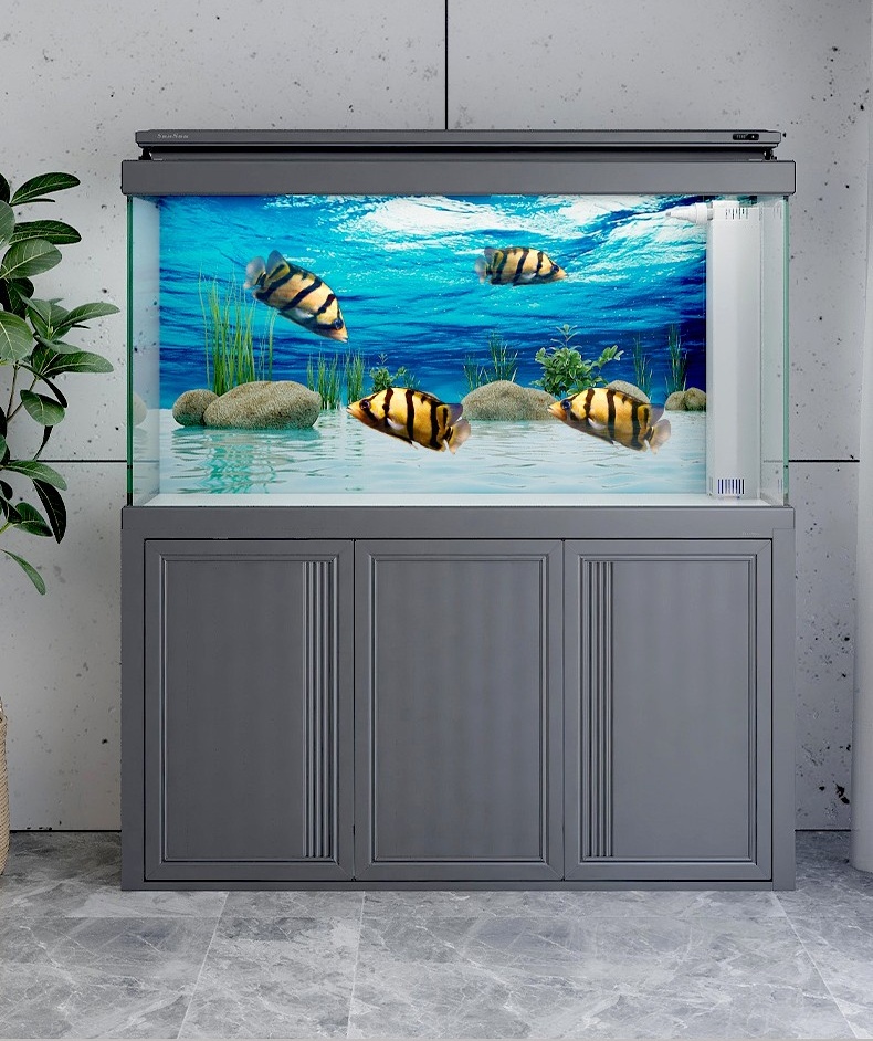 Como escolher o tamanho certo dos tanques de peixes de aquário para iniciantes?