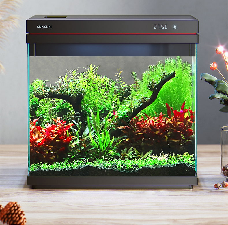 Como avaliar com precisão o desempenho das bombas de ar do aquário no aquário para garantir que os peixes estejam à vontade?