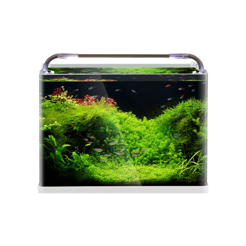 Como você lida com surtos de algas em grandes tanques de peixes de aquário?